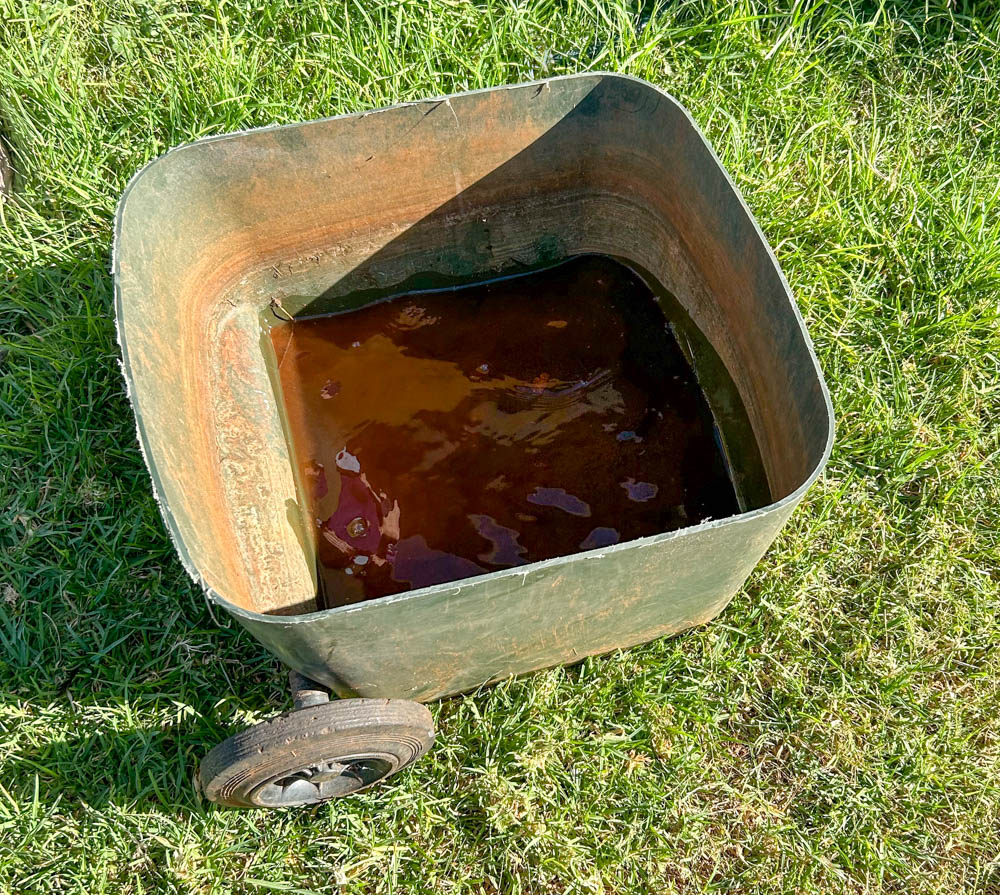 One of the bins in use as a water bowl for dogs.